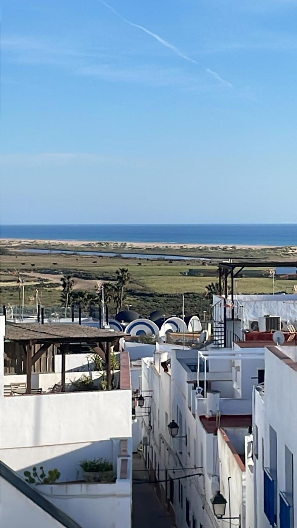 Nuevo Apartamento Murillo D Y Coworking Conil De La Frontera Εξωτερικό φωτογραφία